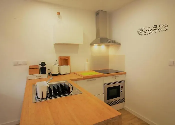 Flh Santa Catarina Lovely Flat